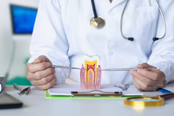 Best Urgent Tooth Repair  in Haliimaile, HI
